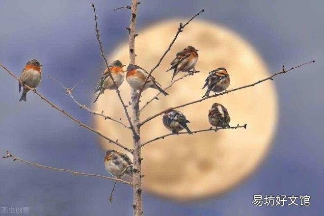 夜静春山空的意思是什么 夜静春山空？？