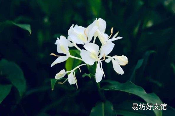 眼睛的睛可以组什么词 眼的组词