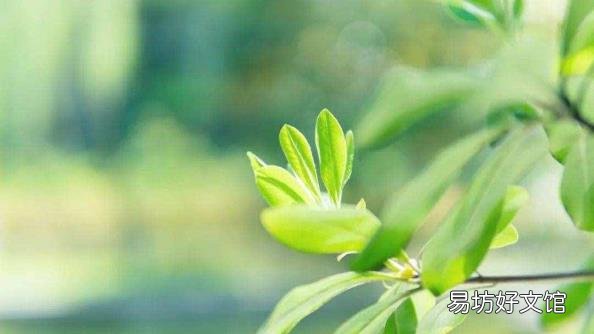 眼睛的睛可以组什么词 眼的组词
