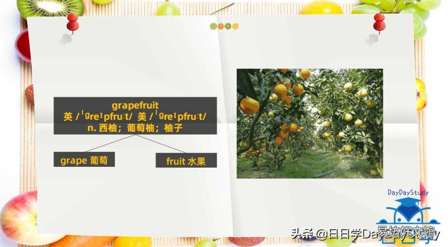 宝宝学50种水果英语 梨的英文
