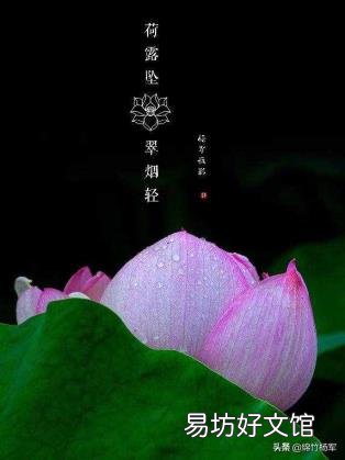 平板电脑电容笔是干嘛的 电容笔有什么用