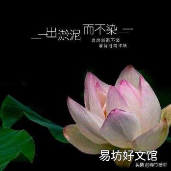 平板电脑电容笔是干嘛的 电容笔有什么用