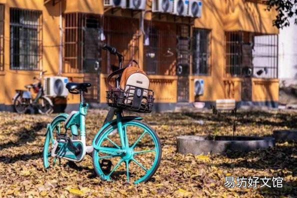 华中师范大学2021年招生计划 华师石牌校区