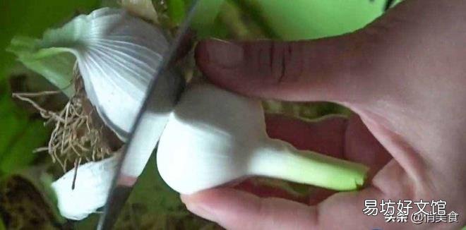 10斤糖醋蒜的比例 如何腌制糖醋蒜