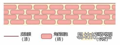 护肤补水知识 秋季护肤知识