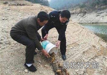 近年来环境破坏的例子 破坏环境的事例