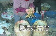 近年来环境破坏的例子 破坏环境的事例