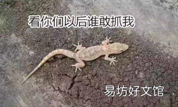 近年来环境破坏的例子 破坏环境的事例