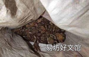 近年来环境破坏的例子 破坏环境的事例