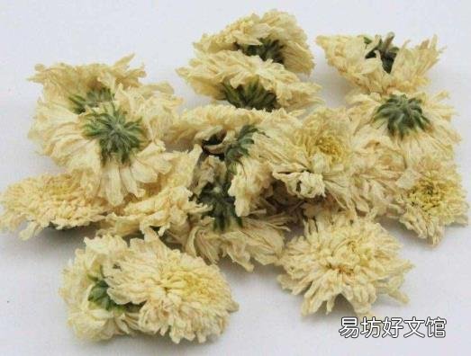 野菊花阅读答案三年级 野菊花阅读