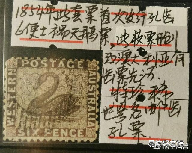 澳大利亚真的有很多恐怖的动物吗?
