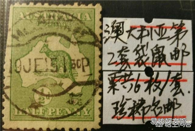 澳大利亚真的有很多恐怖的动物吗?