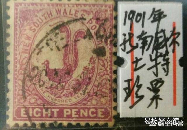 澳大利亚真的有很多恐怖的动物吗?