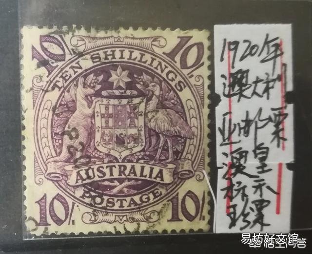 澳大利亚真的有很多恐怖的动物吗?