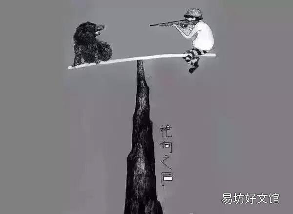 枪响之后,谁会掉下来?