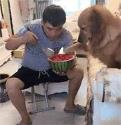 男生发99977什么意思 99977什么意思