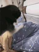 男生发99977什么意思 99977什么意思