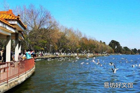 断裂带形成过程 断裂带