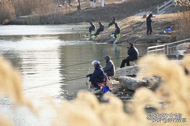 冬天晴天0至9度，西南风向阳无风，为什么钓不到鱼？