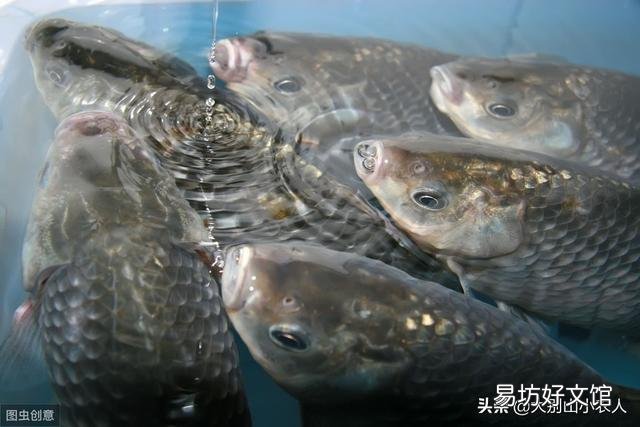 冬季怎么垂钓？
