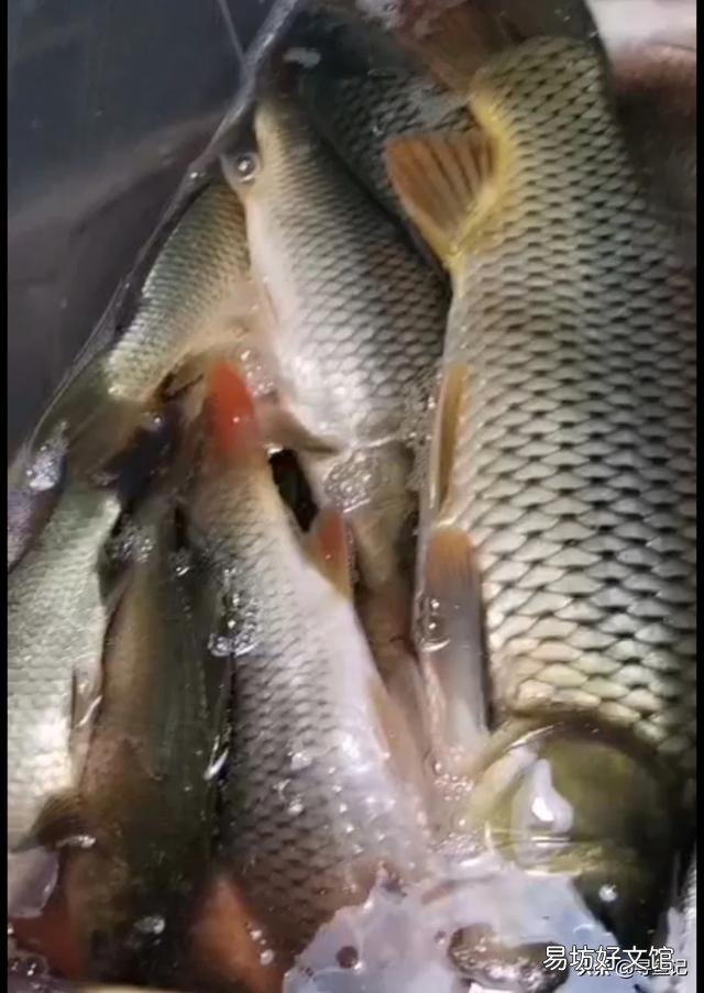 冬季怎么垂钓？
