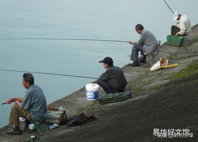 钓鱼时如何正确用蚯蚓?