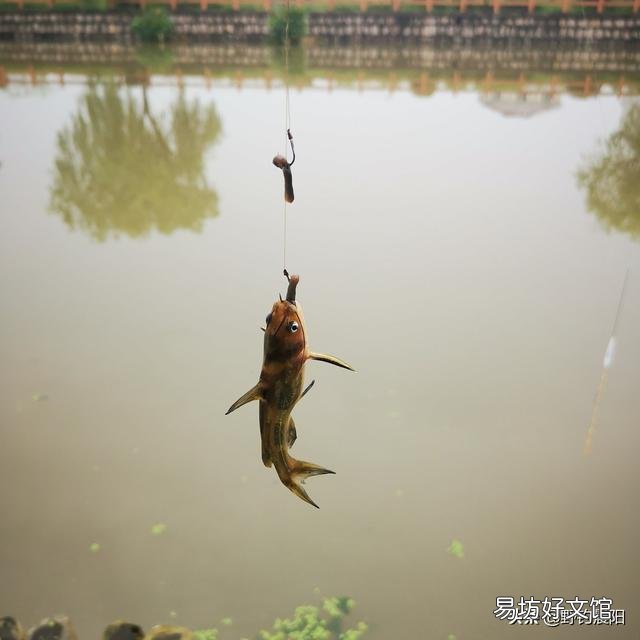钓鱼时如何正确用蚯蚓?