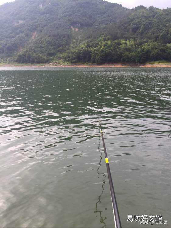 冬天钓鲫鱼,钓深还是钓弯?
