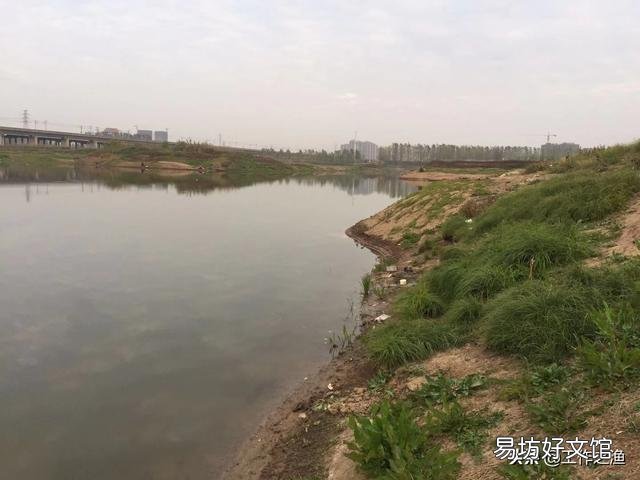 冬天钓鲫鱼,钓深还是钓弯?