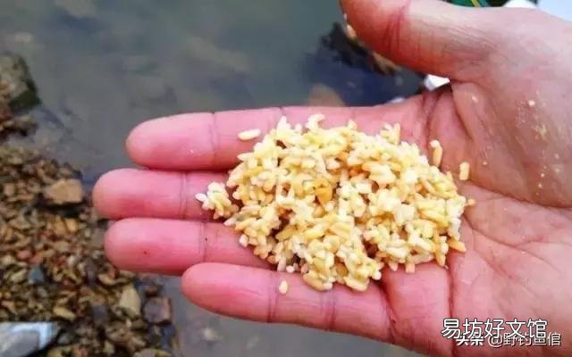 冬天鲫鱼用什么打窝,什么饵好钓?