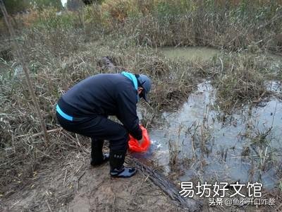 陌生水域钓鱼，你们通过哪种方式辨别水里有没有鱼？