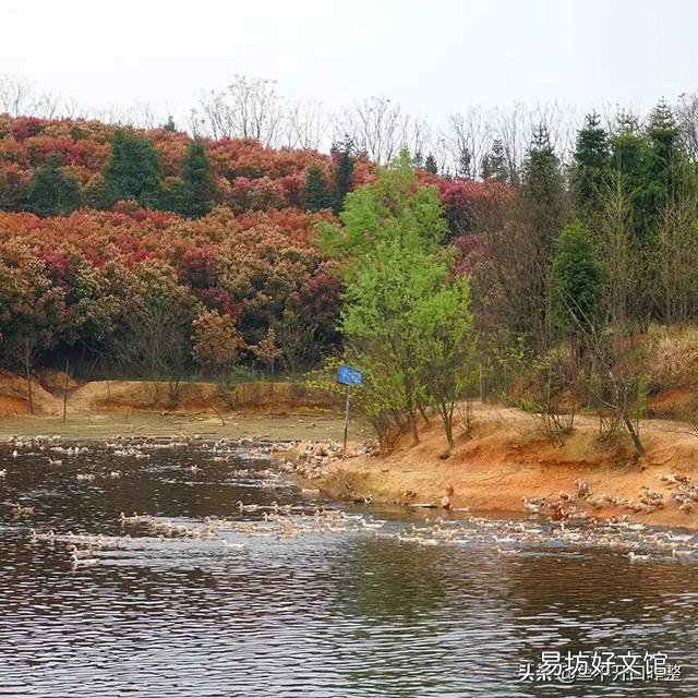 陌生水域钓鱼，你们通过哪种方式辨别水里有没有鱼？