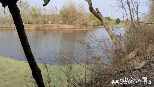 陌生水域钓鱼，你们通过哪种方式辨别水里有没有鱼？