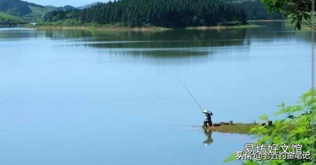 陌生水域钓鱼，你们通过哪种方式辨别水里有没有鱼？