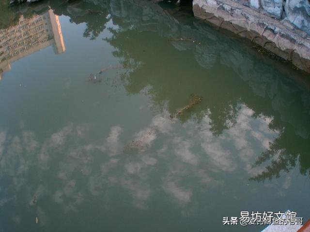 陌生水域钓鱼，你们通过哪种方式辨别水里有没有鱼？