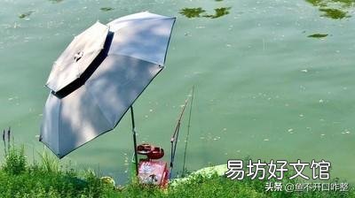 陌生水域钓鱼，你们通过哪种方式辨别水里有没有鱼？