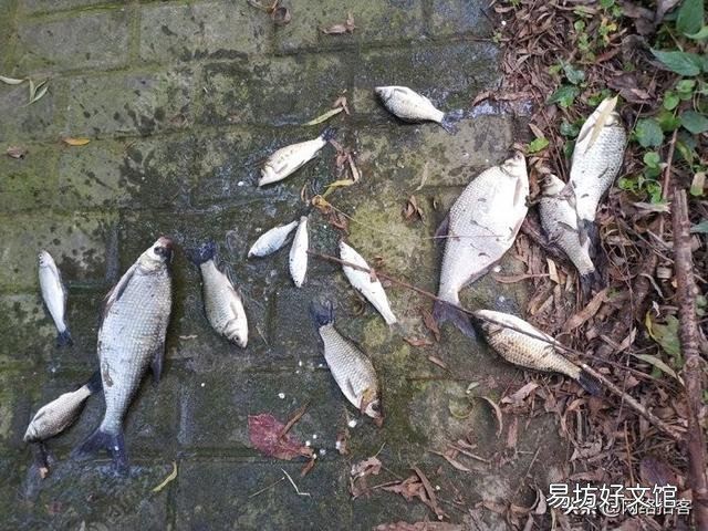 子线双铅好用吗？