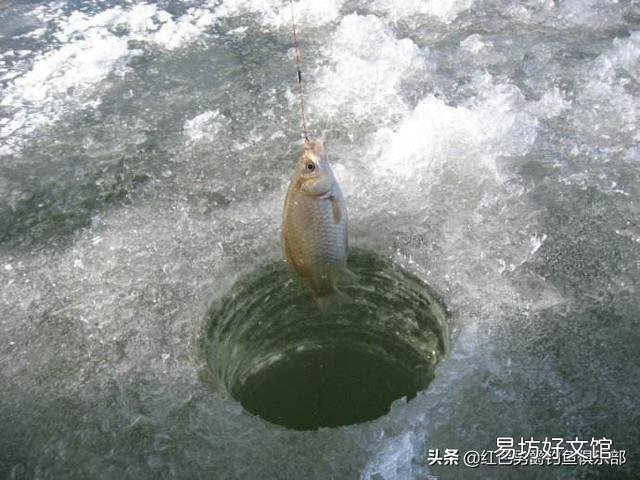 冰钓，昨天钓两米水深没口，后来钓一米深，结果中了鲤鱼和鲢鱼，请问这是什么原因？