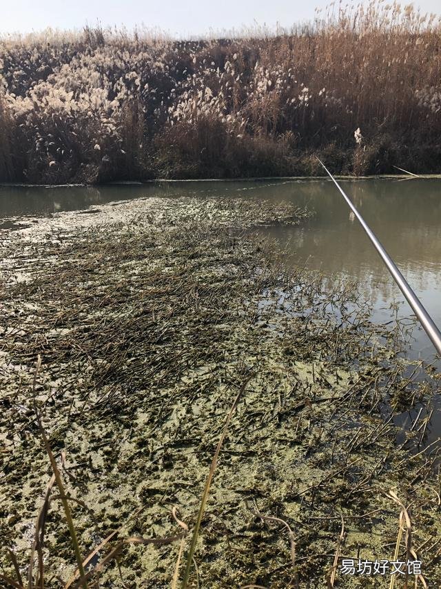 水底有草再加铅跑铅钓可以吗？该怎么做？