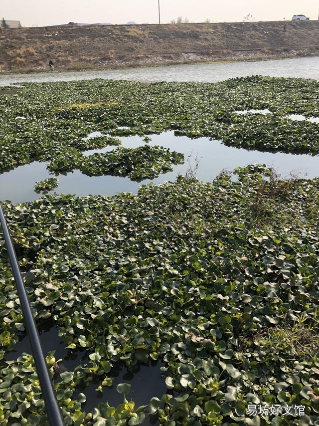 水底有草再加铅跑铅钓可以吗？该怎么做？