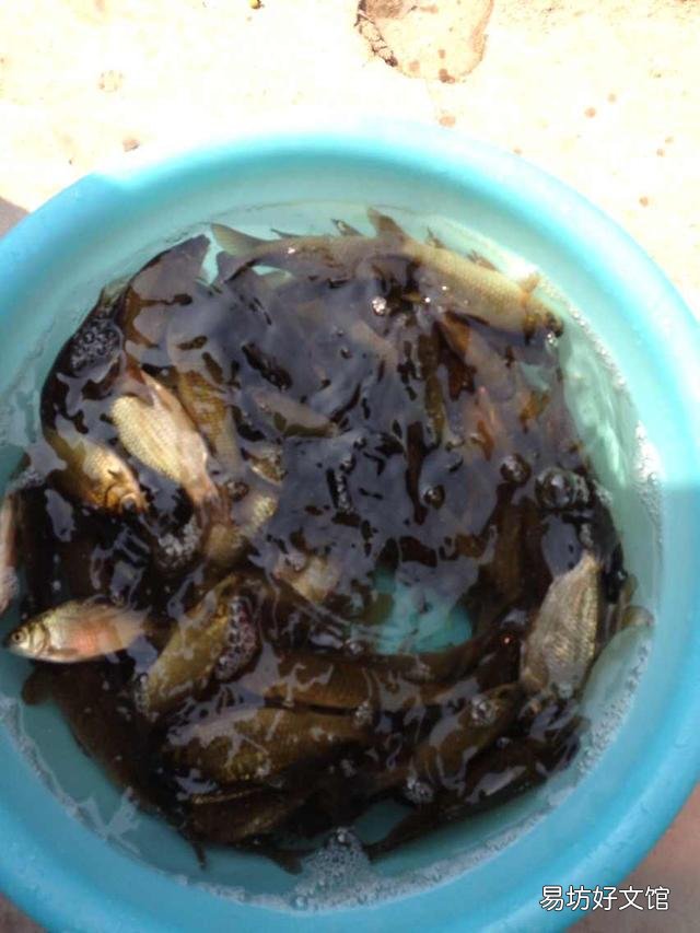 水底有草再加铅跑铅钓可以吗？该怎么做？