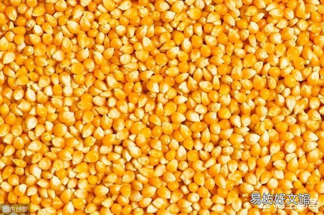钓鲤鱼用的玉米怎么泡制，商品玉米哪些品牌比较好？