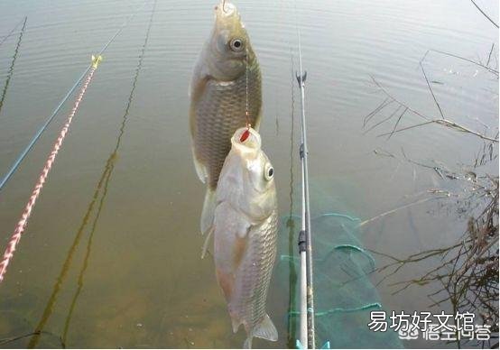 河里走水怎么钓鱼?