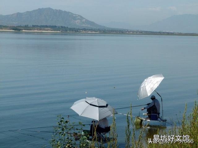 初冬雨后钓鱼怎么样?