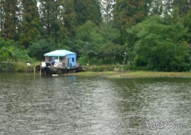 初冬雨后钓鱼怎么样?