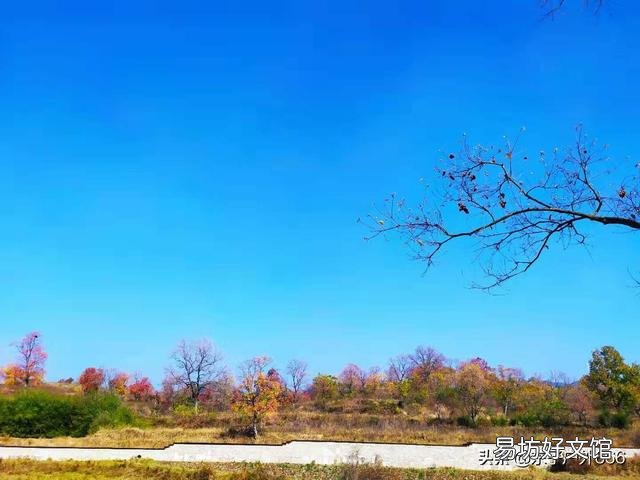 初冬雨后钓鱼怎么样?