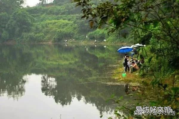 在江河水库钓鲫鱼时如何选择钓位？