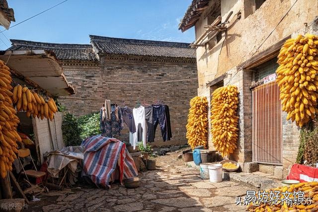 如果农民不种地了,你知道是谁最先扛不住吗?