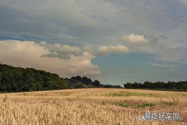 如果农民不种地了,你知道是谁最先扛不住吗?