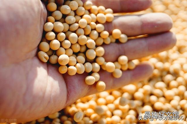 如果农民不种地了,你知道是谁最先扛不住吗?